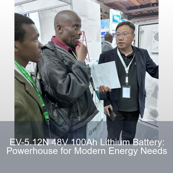EV-5.12N 48V 100Ah Lithium Battery: Powerhouse for Modern Energy Needs